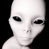 Grey Alien